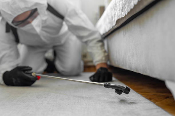 Professional Emergency Pest Control technician working in Taylorsville, UT