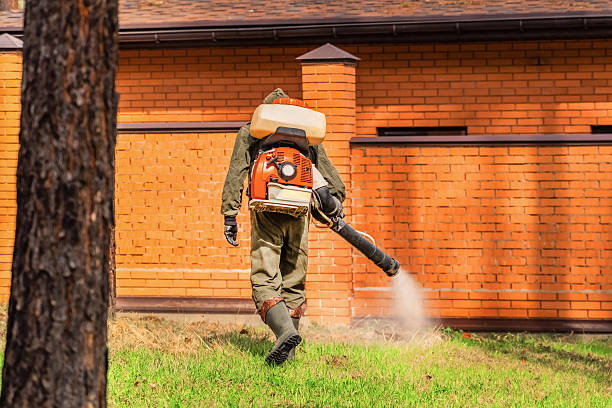 Trusted Emergency Pest Control service in Taylorsville, UT - Nex Pest Control